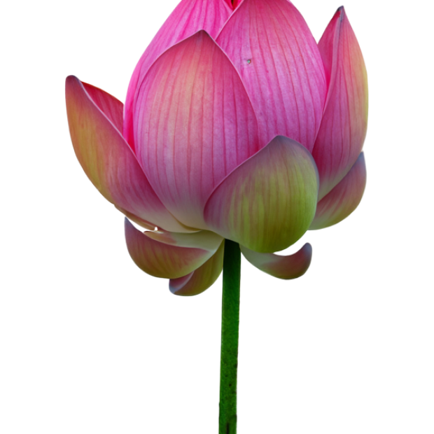 test 2